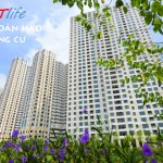 smartlife 11